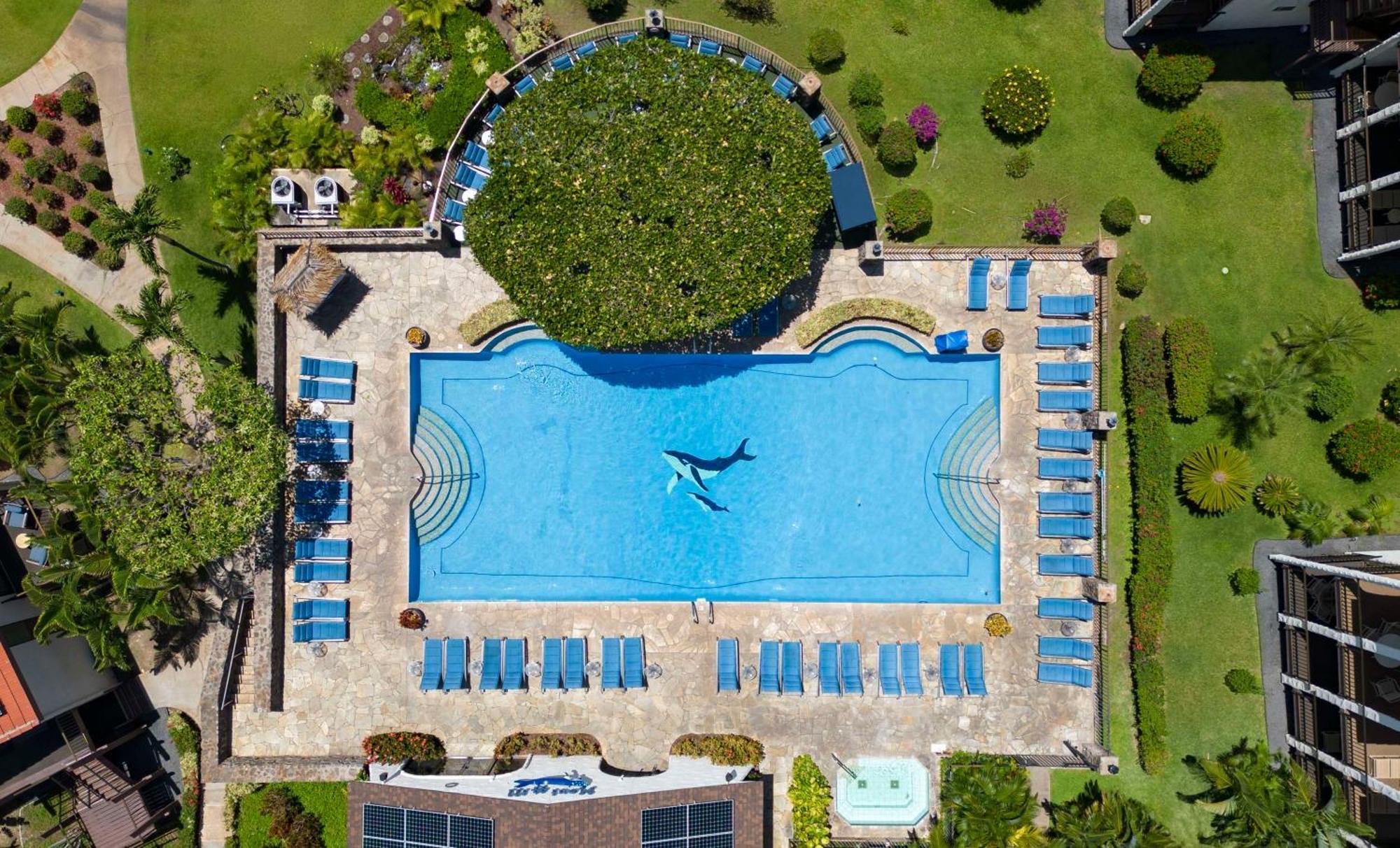 Aston Maui Hill Aparthotel Wailea  Eksteriør bilde